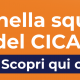 Entra a far parte della squadra del CICAP Fest!